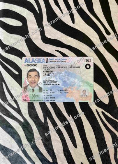 USA Alaska DL photolook FRONT